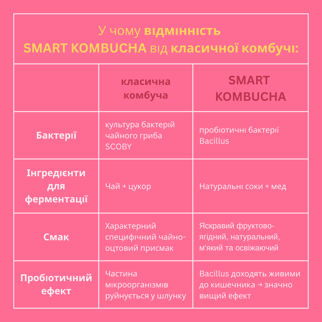 Kombucha2